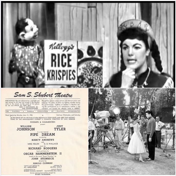 Singularity Loop Donut 45