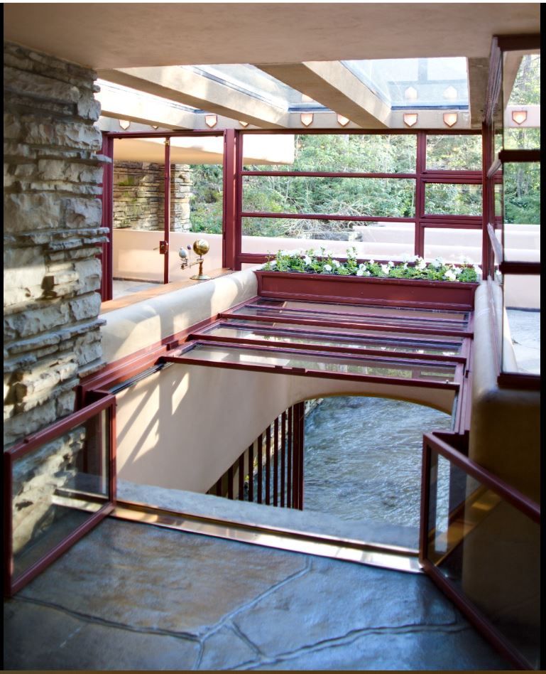 Singularity Loop Donut 55