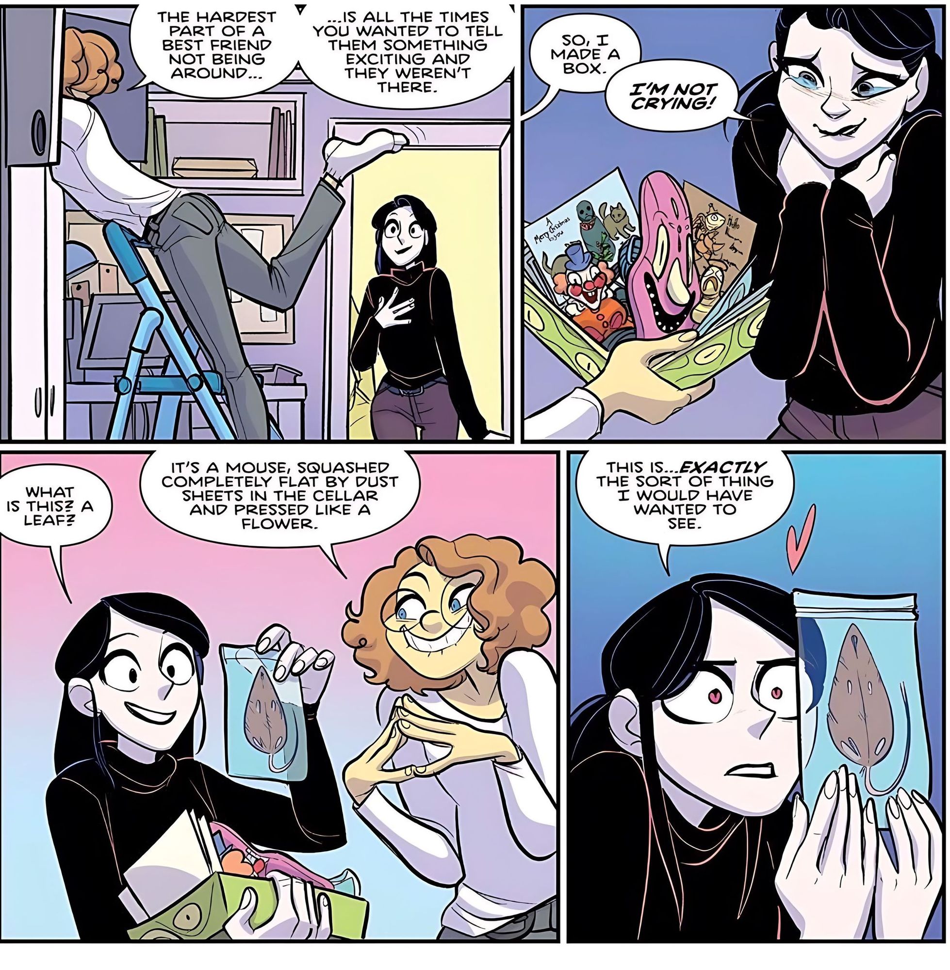 Singularity Loop Donut 51