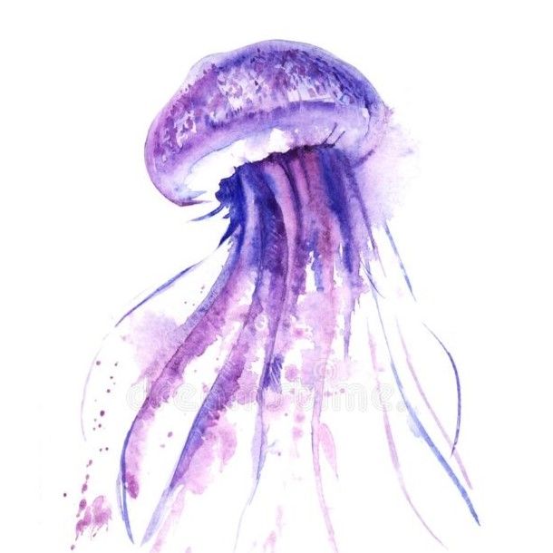 SereneJellyfish