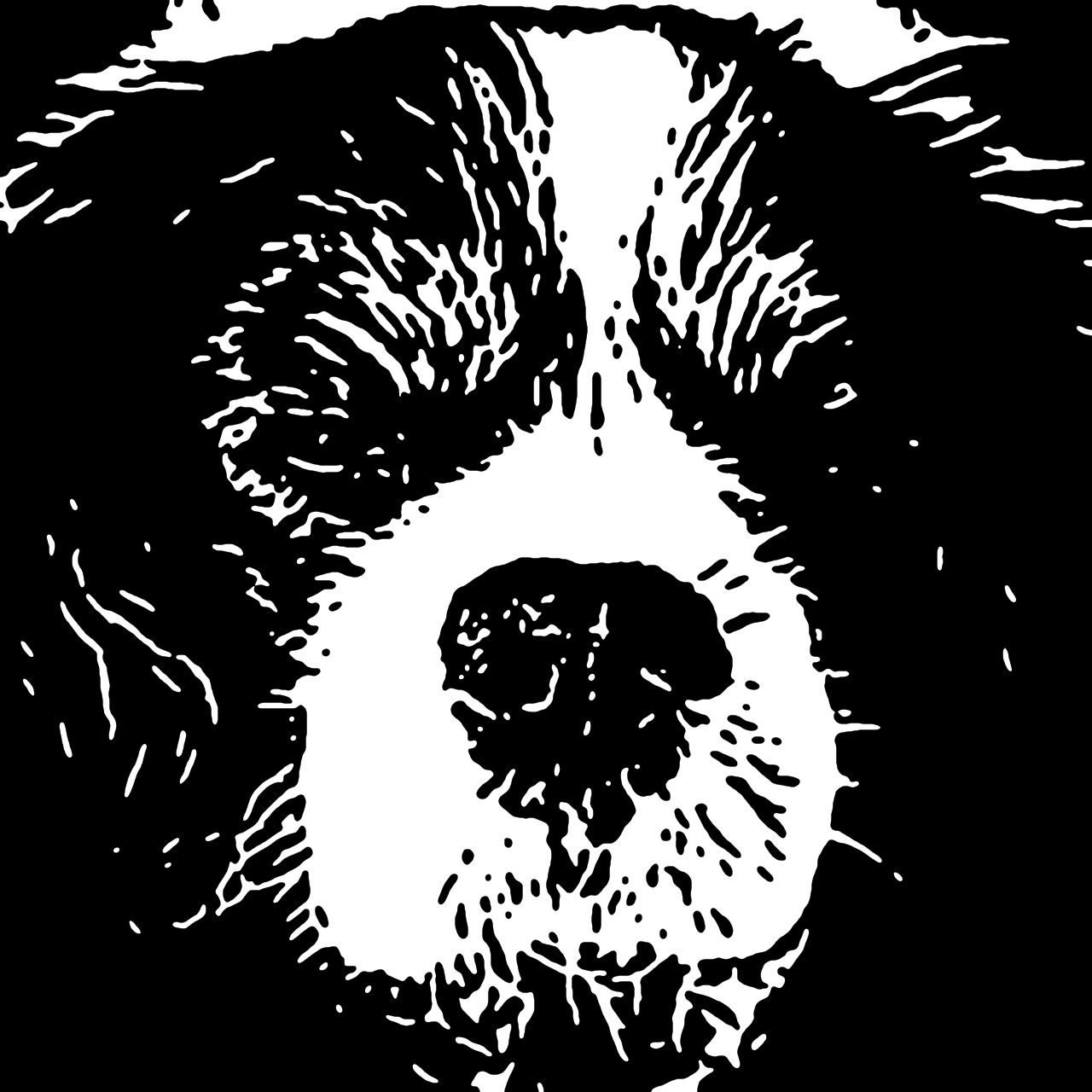 The Art of Mark Fischer