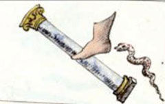 A man foot beat the column, a snake is next to it