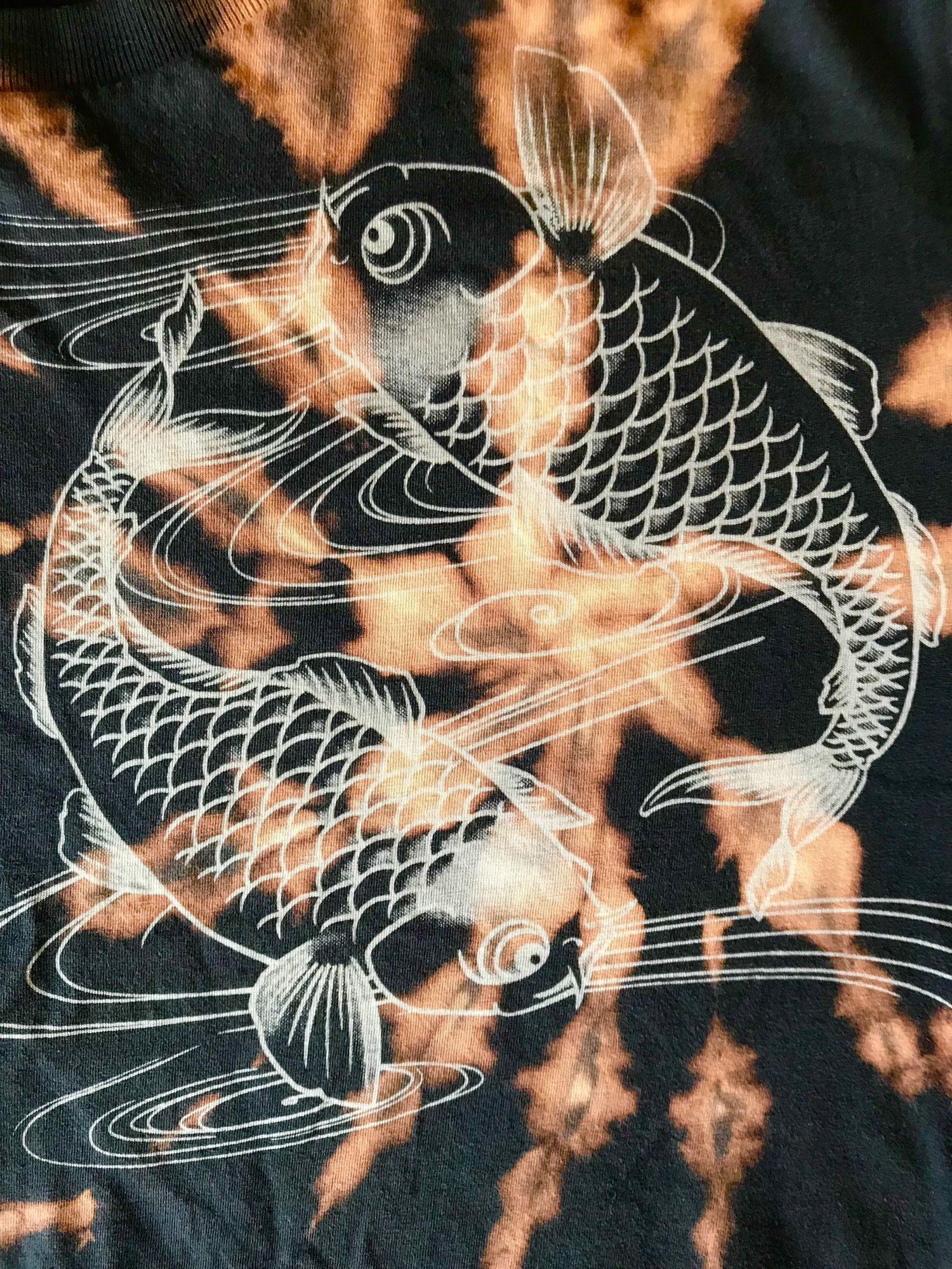 Fishes swimming in galaxy 