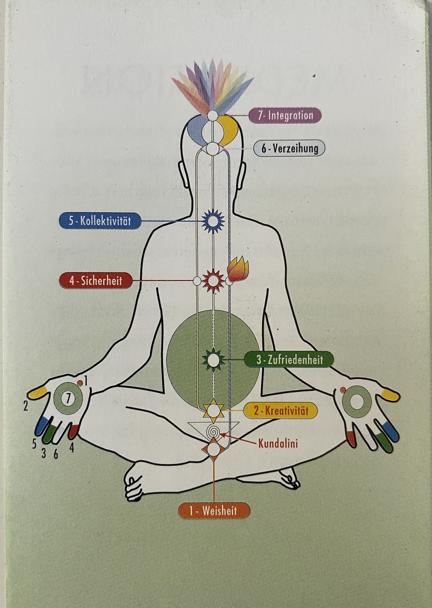A bald man in a lotus pose, his body shows chakras, energy centers and three energy channels inside. Flower on the head