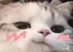 Sou