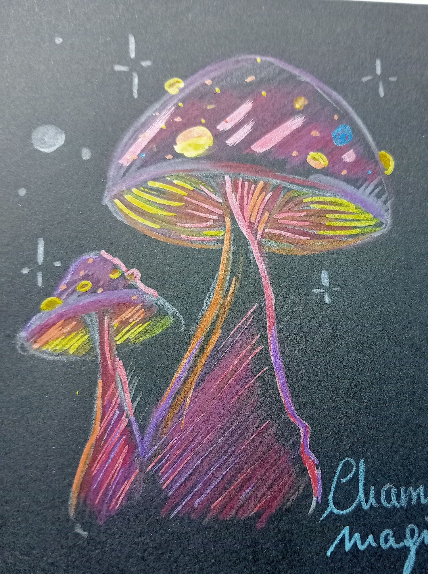 purple red mushrooms 