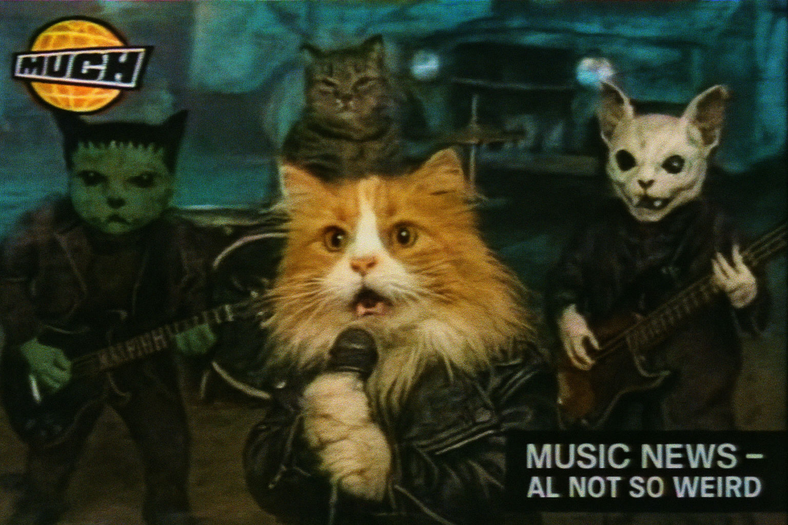Old VHS recorded 90s footage of a heavy metal music video.
The musicians are cats wearing leather and spooky makeup.
THe...