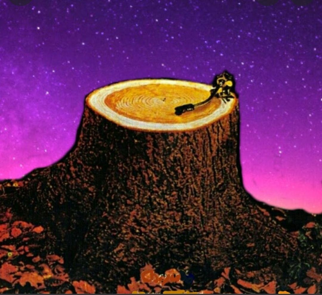 The KoxVI Experience - Musical Box