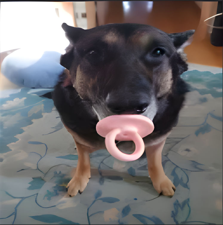 weinerdog