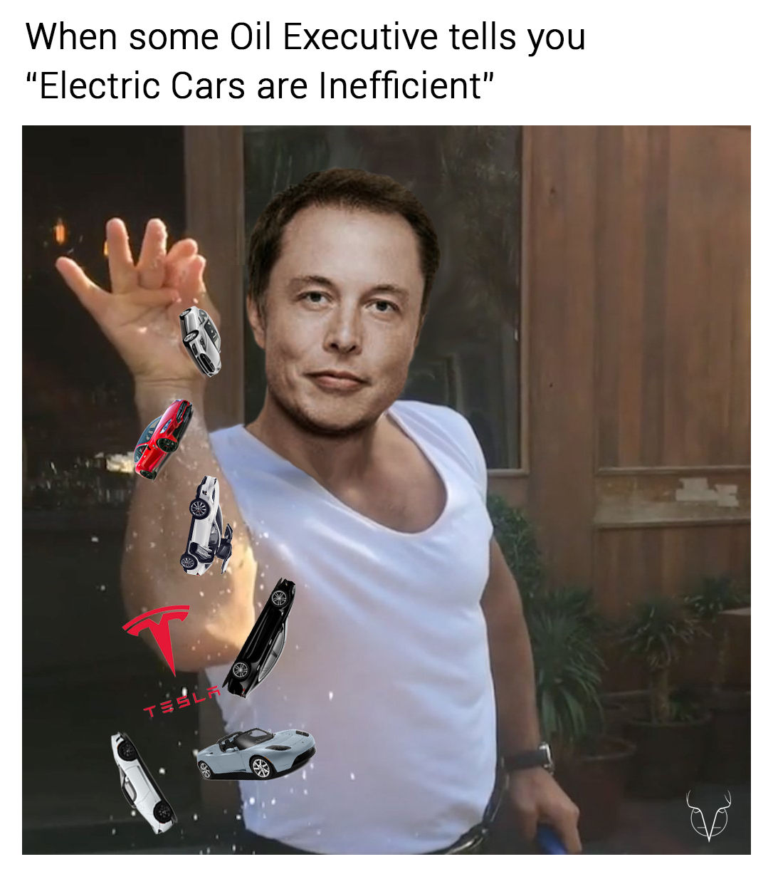 I like elon