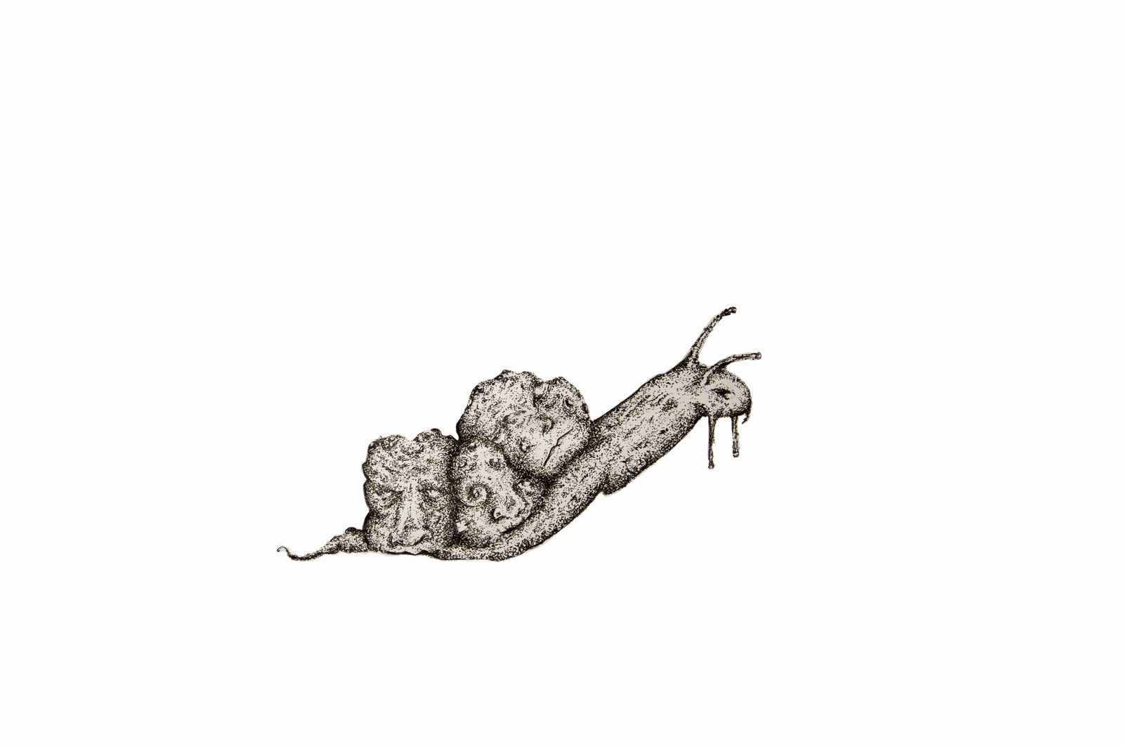 amphivia