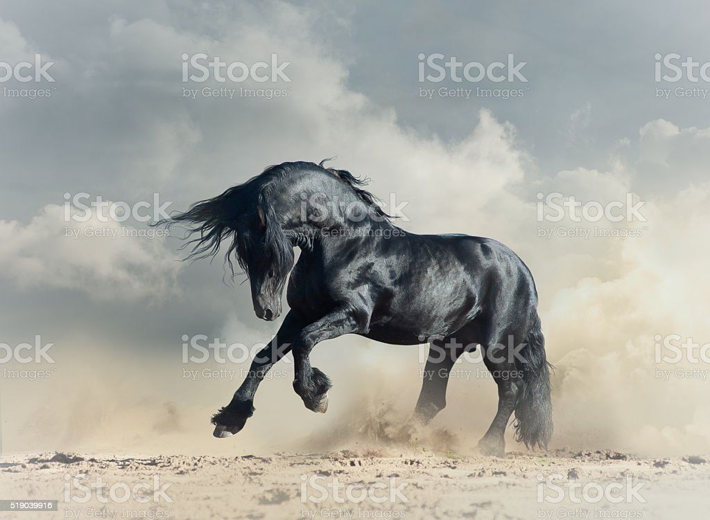 Black Unicorn