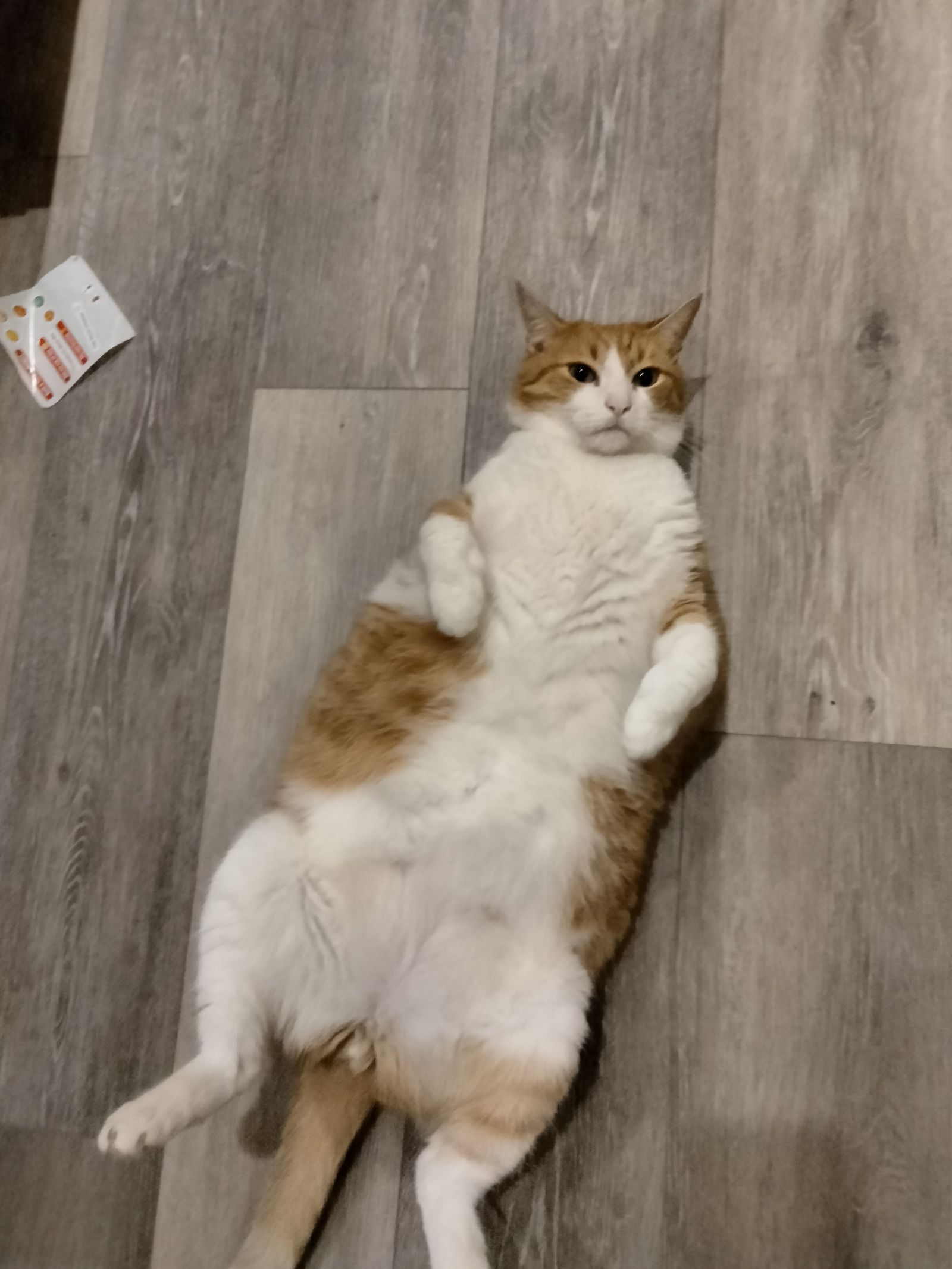 DaughterOfGryffindor