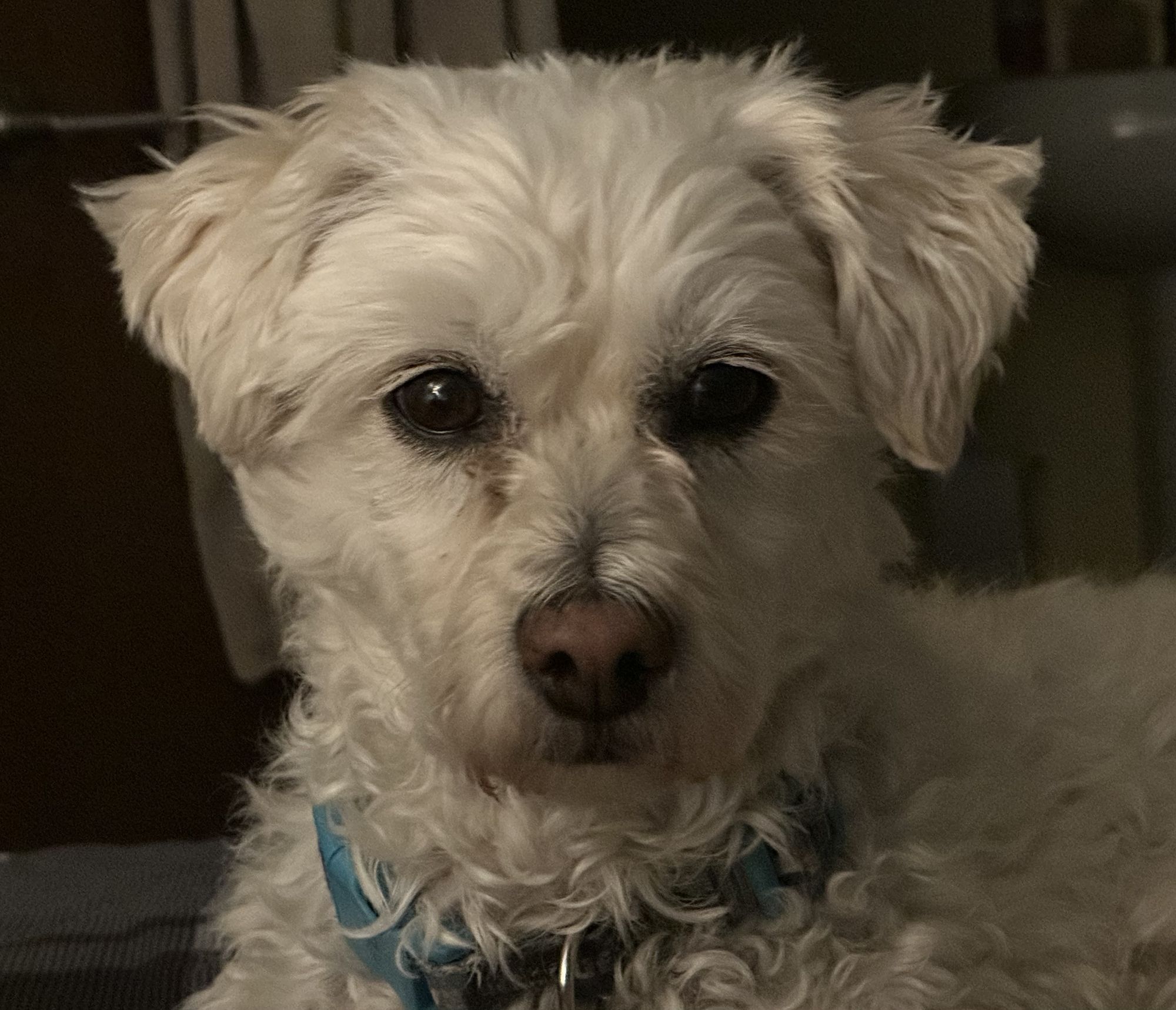 Image uploaded by user