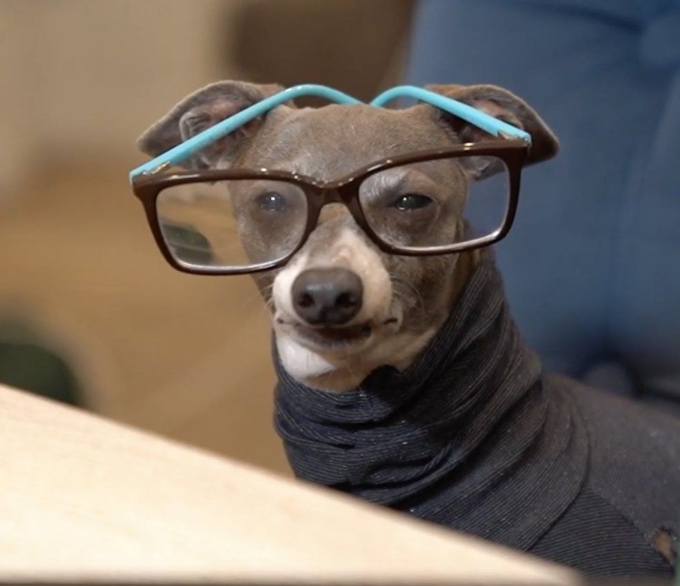 Kermit