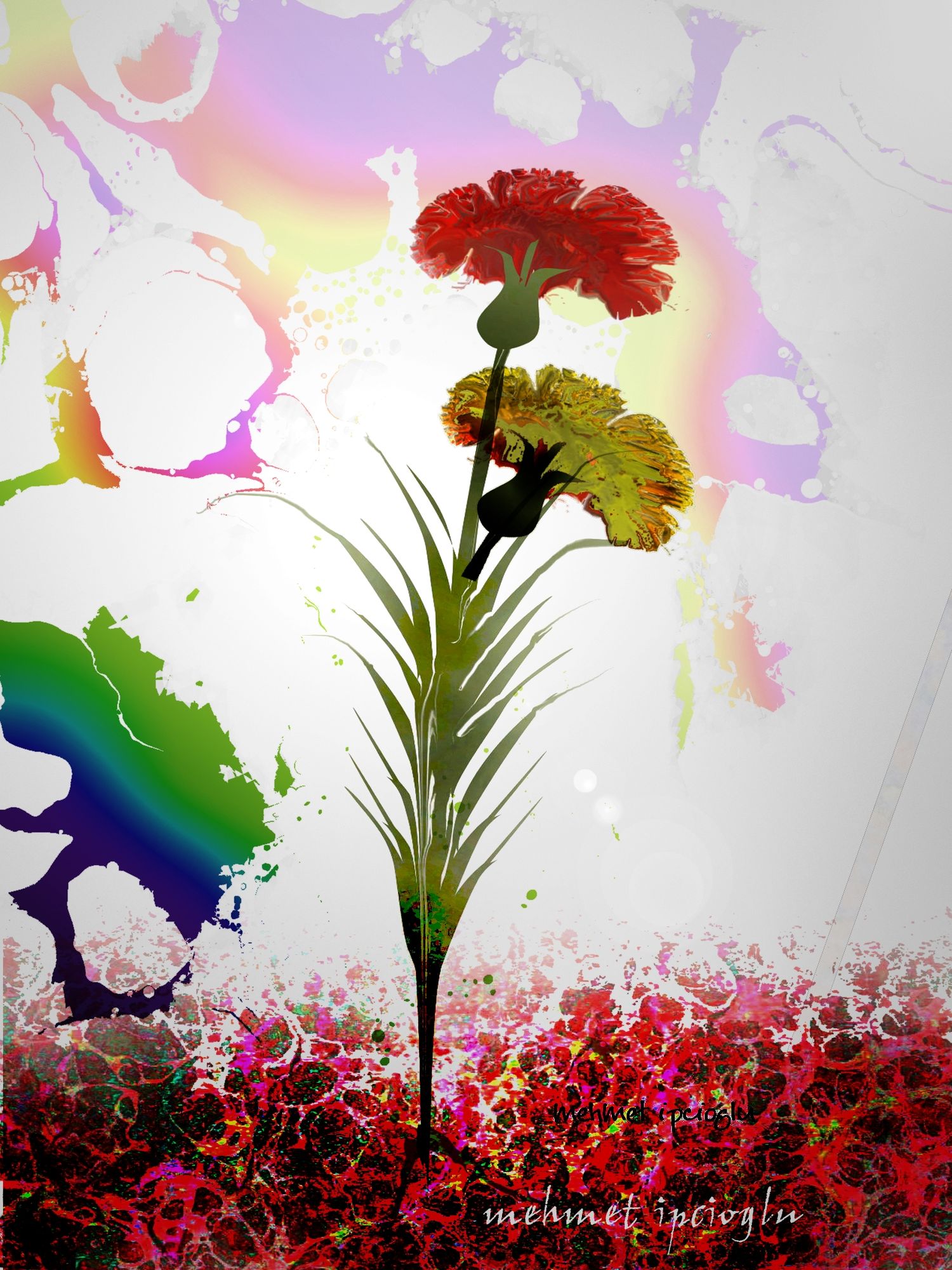  cloves on the marbling abstract vector fractal, wave function, Zentangle, 3d shading