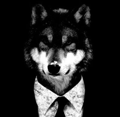 Mr Wolf