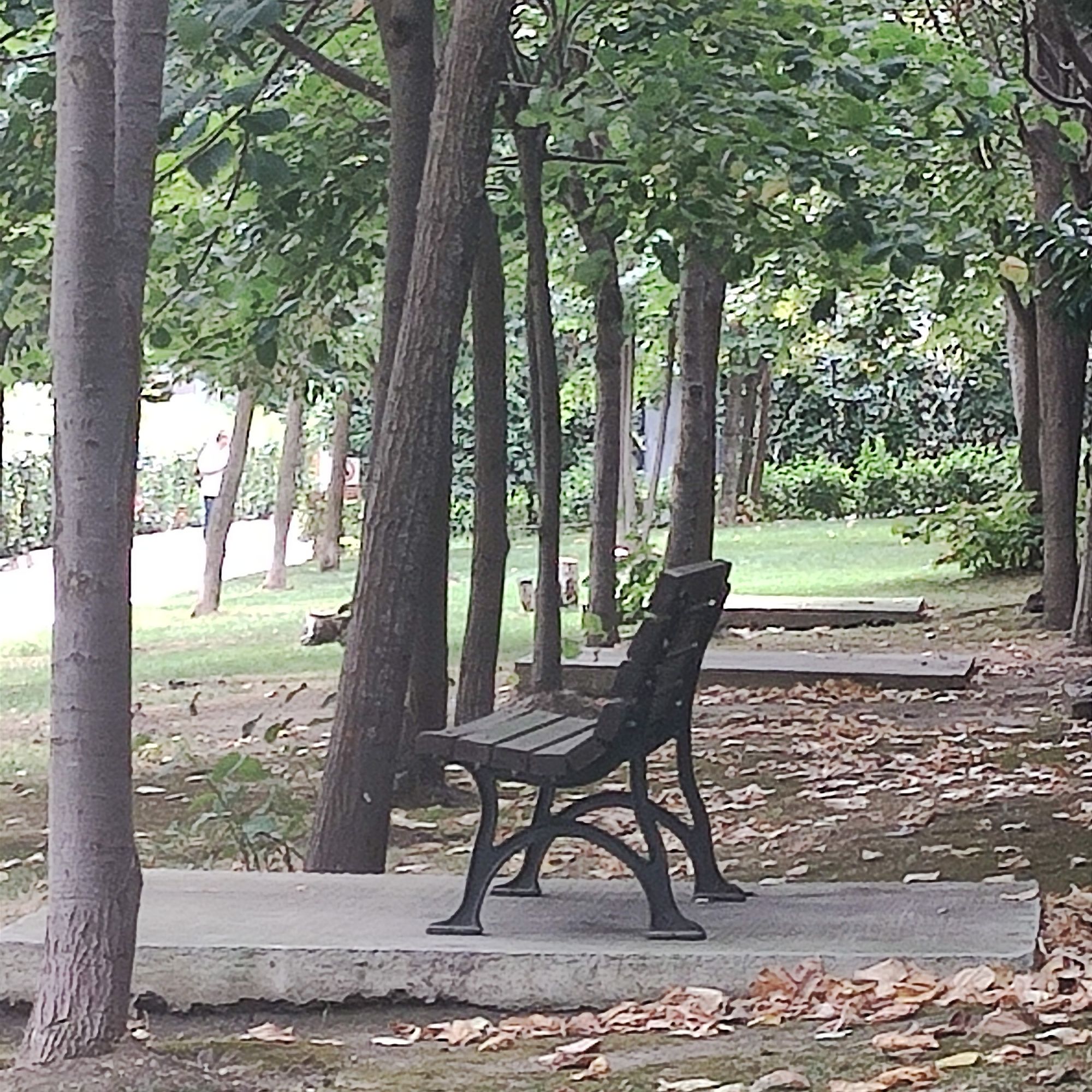 Ultra-realistic, hyper-detailed photo enhancement with automatic subject detection, intelligent subject isolation and central focus, works o...