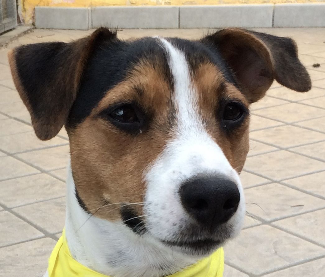 Image uploaded by user