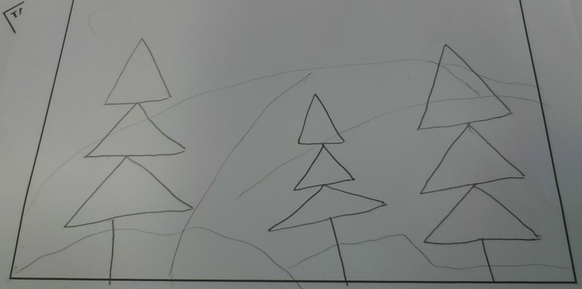 dark forest with trees and mountains in the back