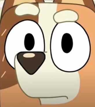 Image uploaded by user