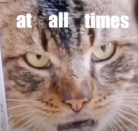 Image uploaded by user