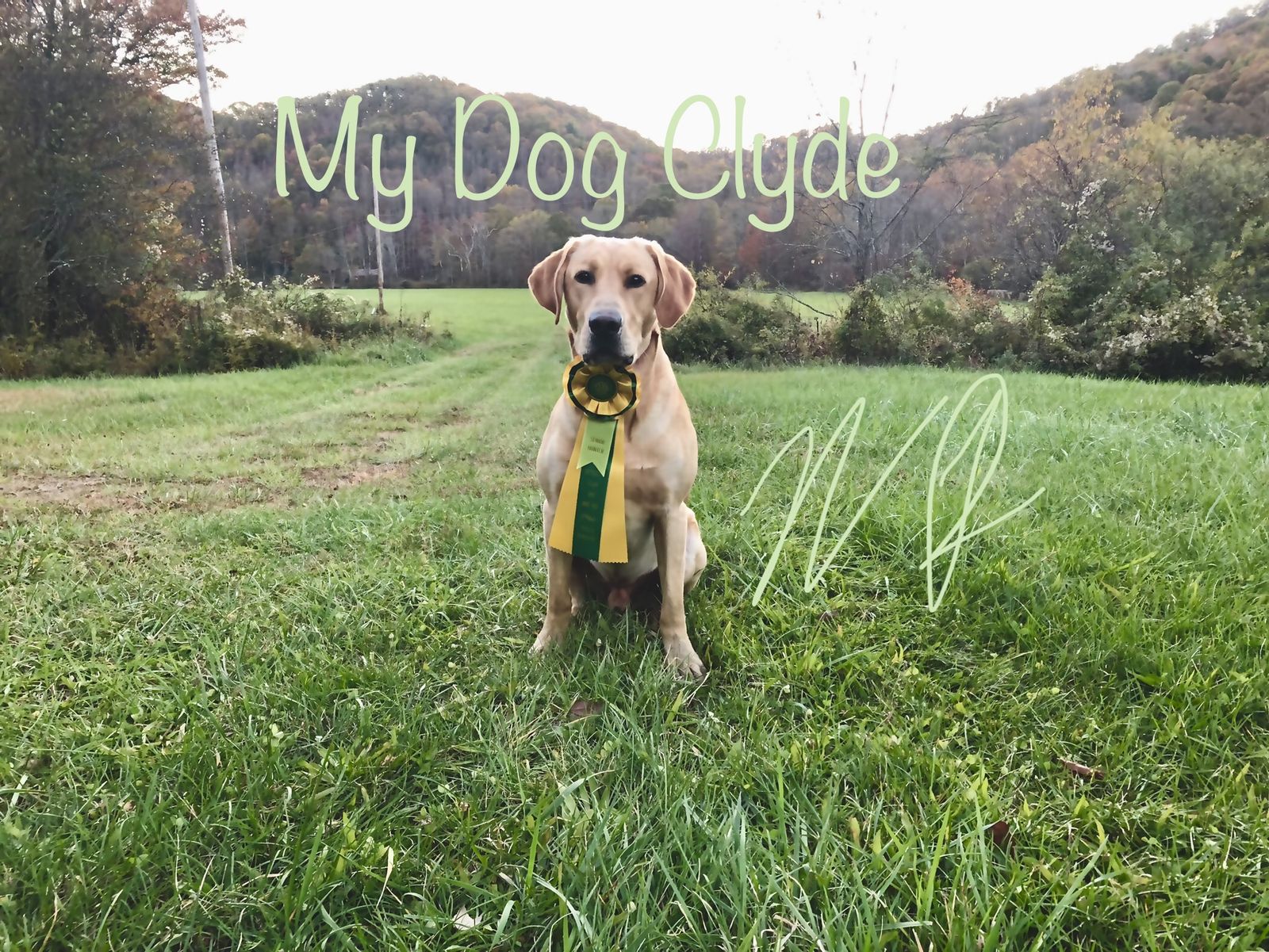 Public Enemy Number One