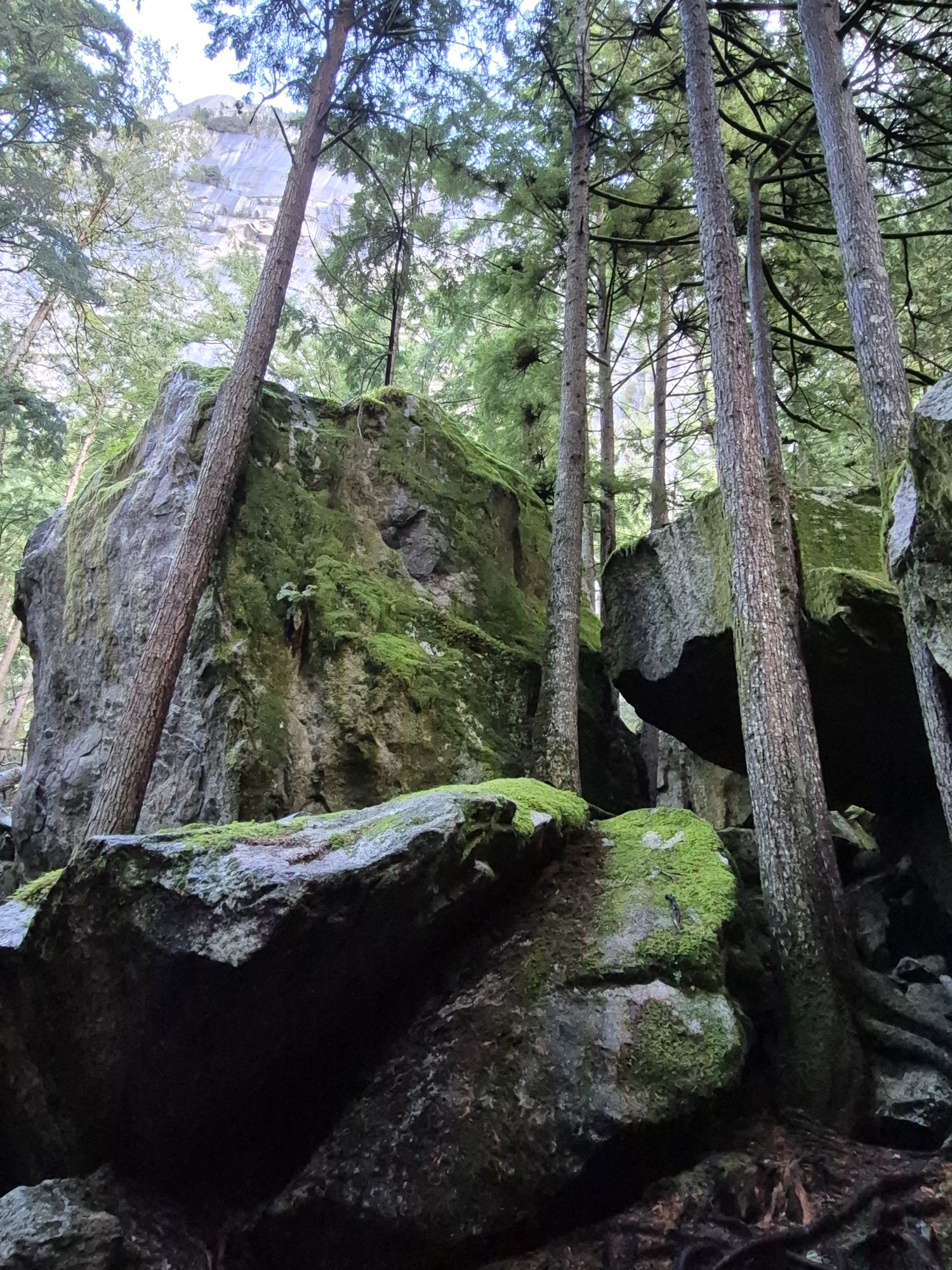 Image uploaded by user