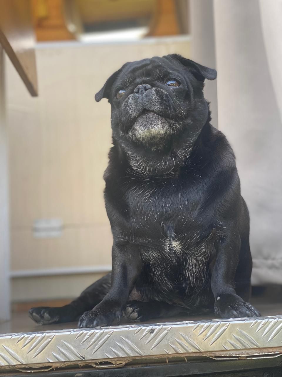 Você acha que lavei louça ou só baguncei? kkk