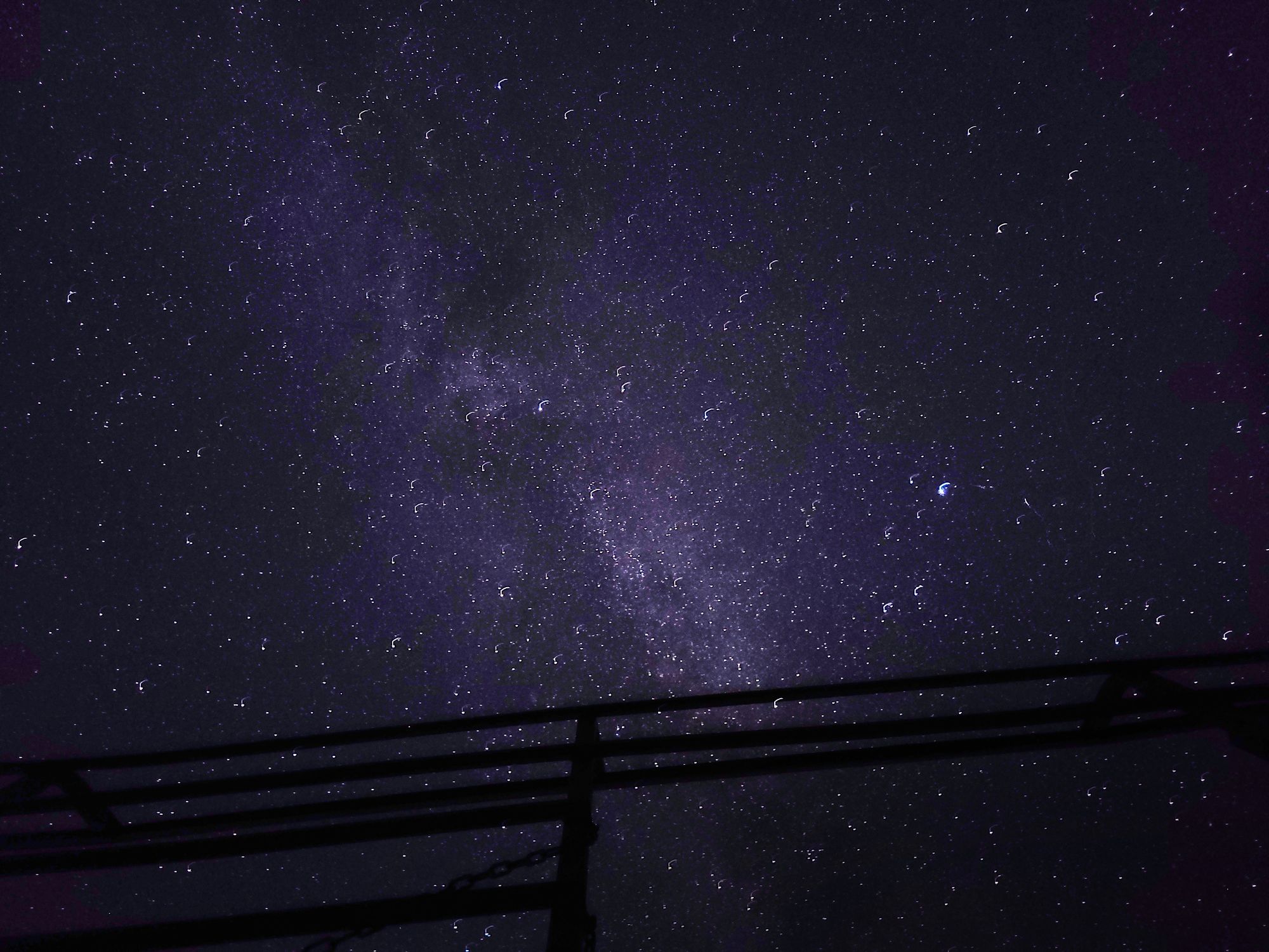 Cat looking up at the stars in a hay wagon