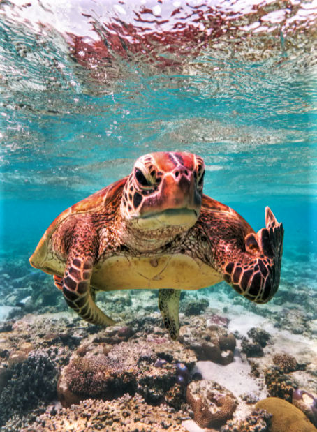 Half A Pair Of Socks