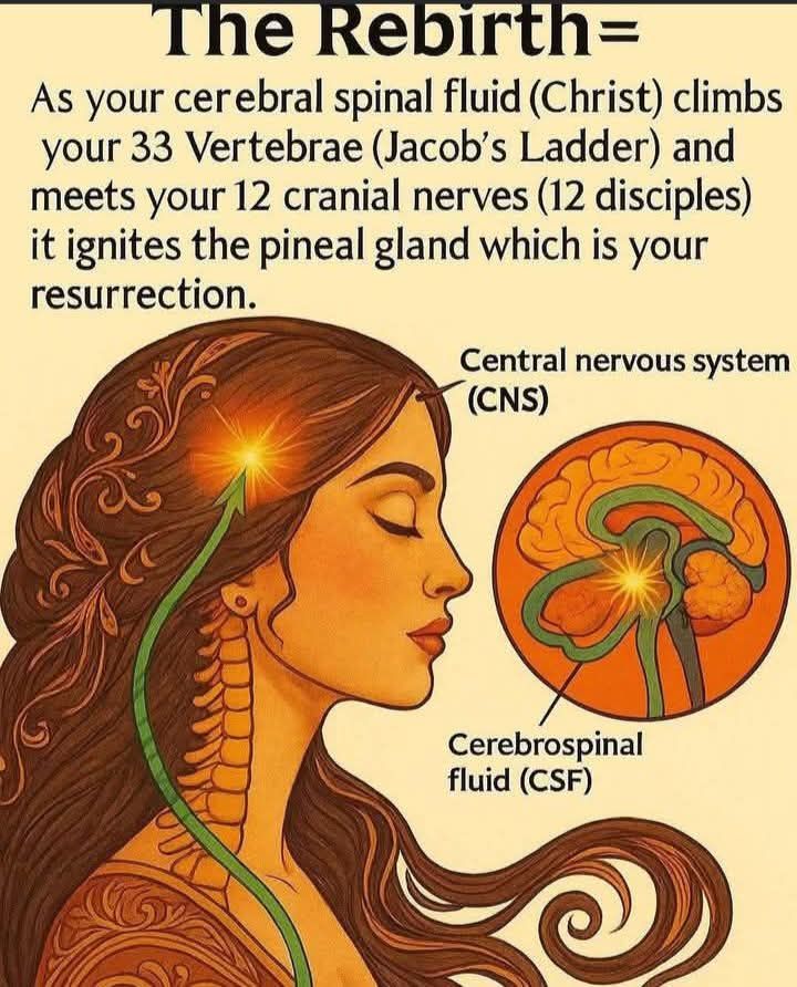 i need a very vivid, precise, accurate dipiction of the power of harnessing your "essence" aka Christos Oil, and the vividly divinely captiv...