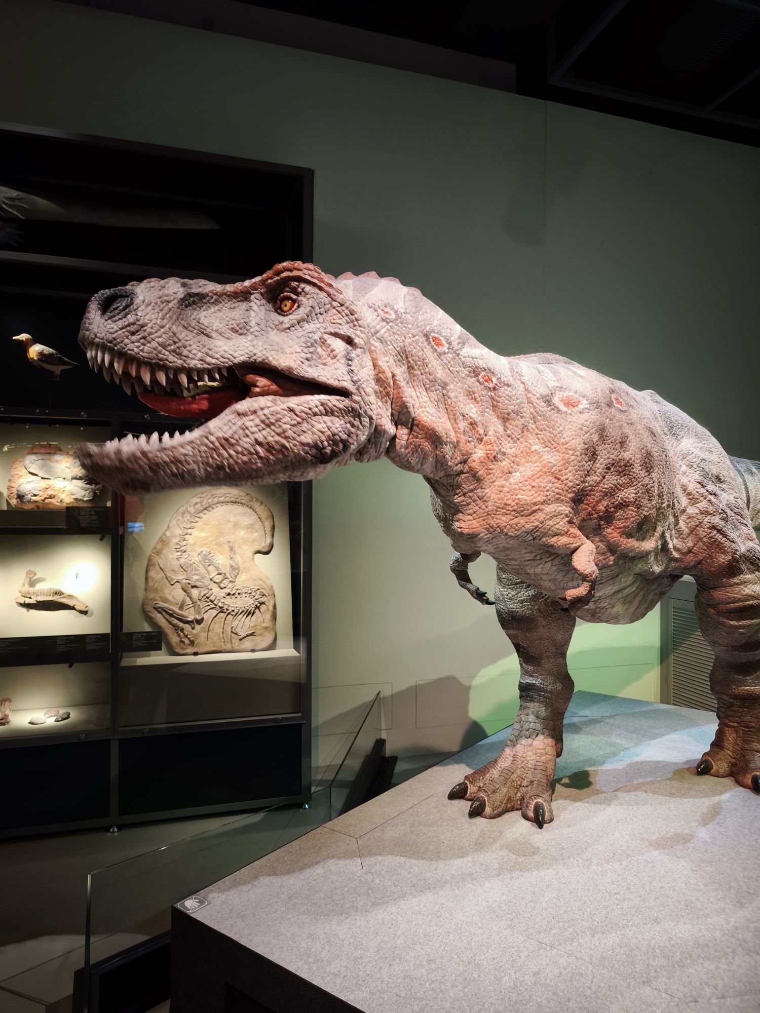 Running in a dark forest 