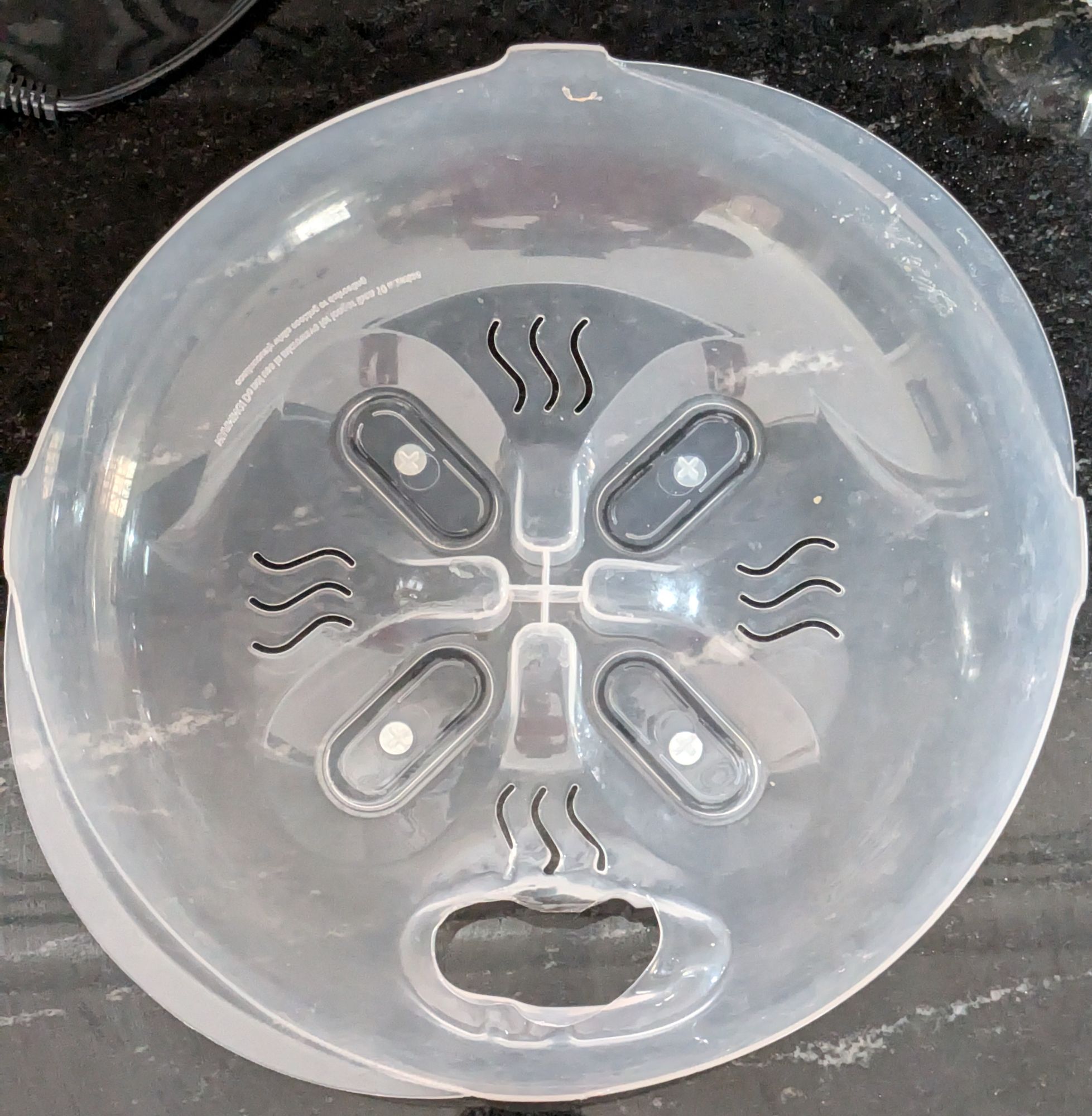 1980's highschool yearbook portrait of an extraterrestrial alien 