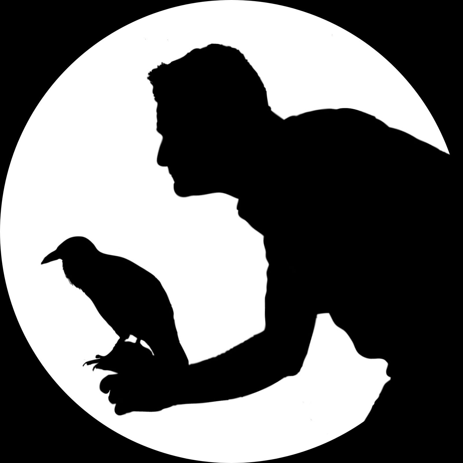 La Paradoja del Cuervo