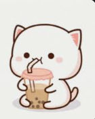 MeowMeow_CuteCat
