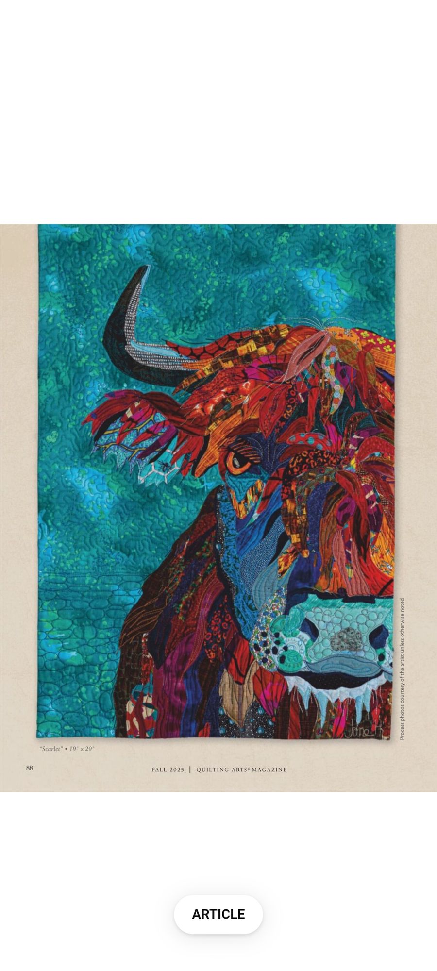  abstract art 2 complementary colors fine details