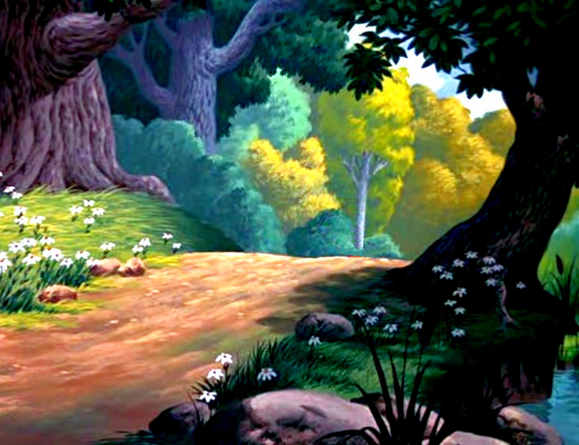 a trailway going to the left into a copse of paraná pines