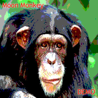 Moonmonkey