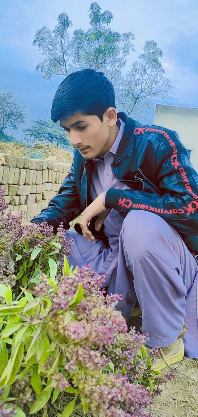 Shahzad Khan 