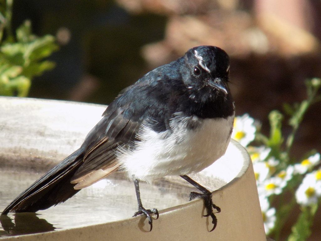 Drying off after the bath.