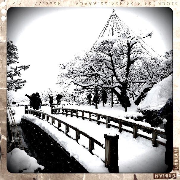 A walk in the winter