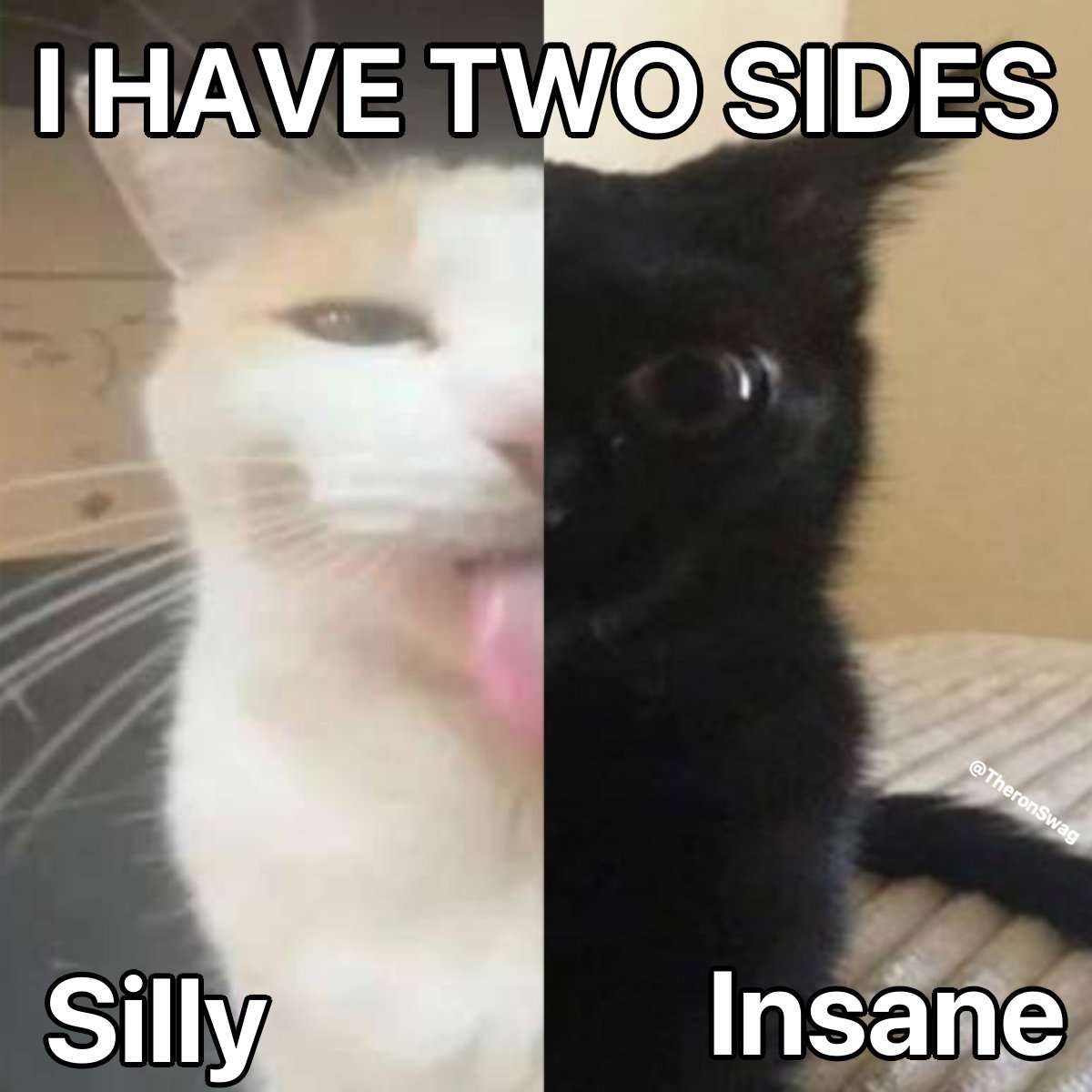 sillyandinsane