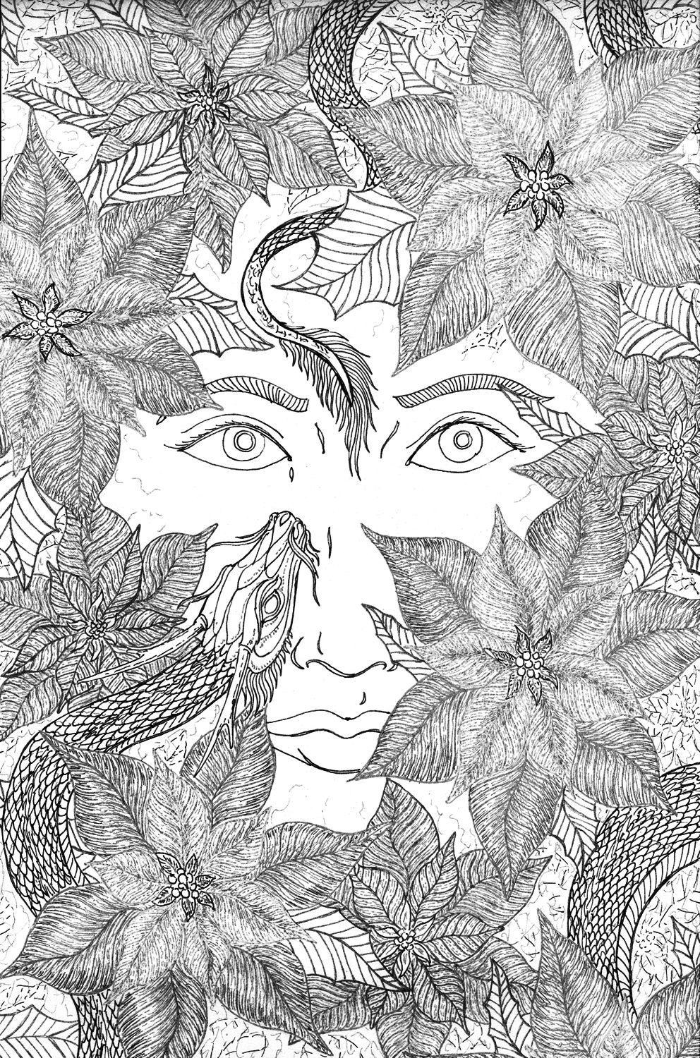 Blooms of Winter: Cuetlaxochitl / Poinsettia (Euphorbia Pulcherrima) #6