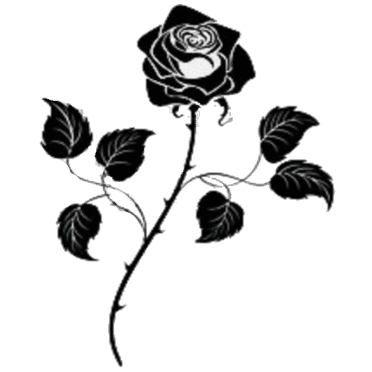 Deep blue rose, lit candles and floating particles, no background a masterpiece, 8k resolution, dark fantasy concept art, by Greg Rutkowski,...