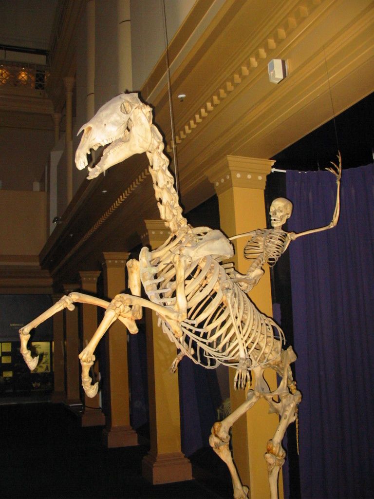 Flaming skeleton horse 