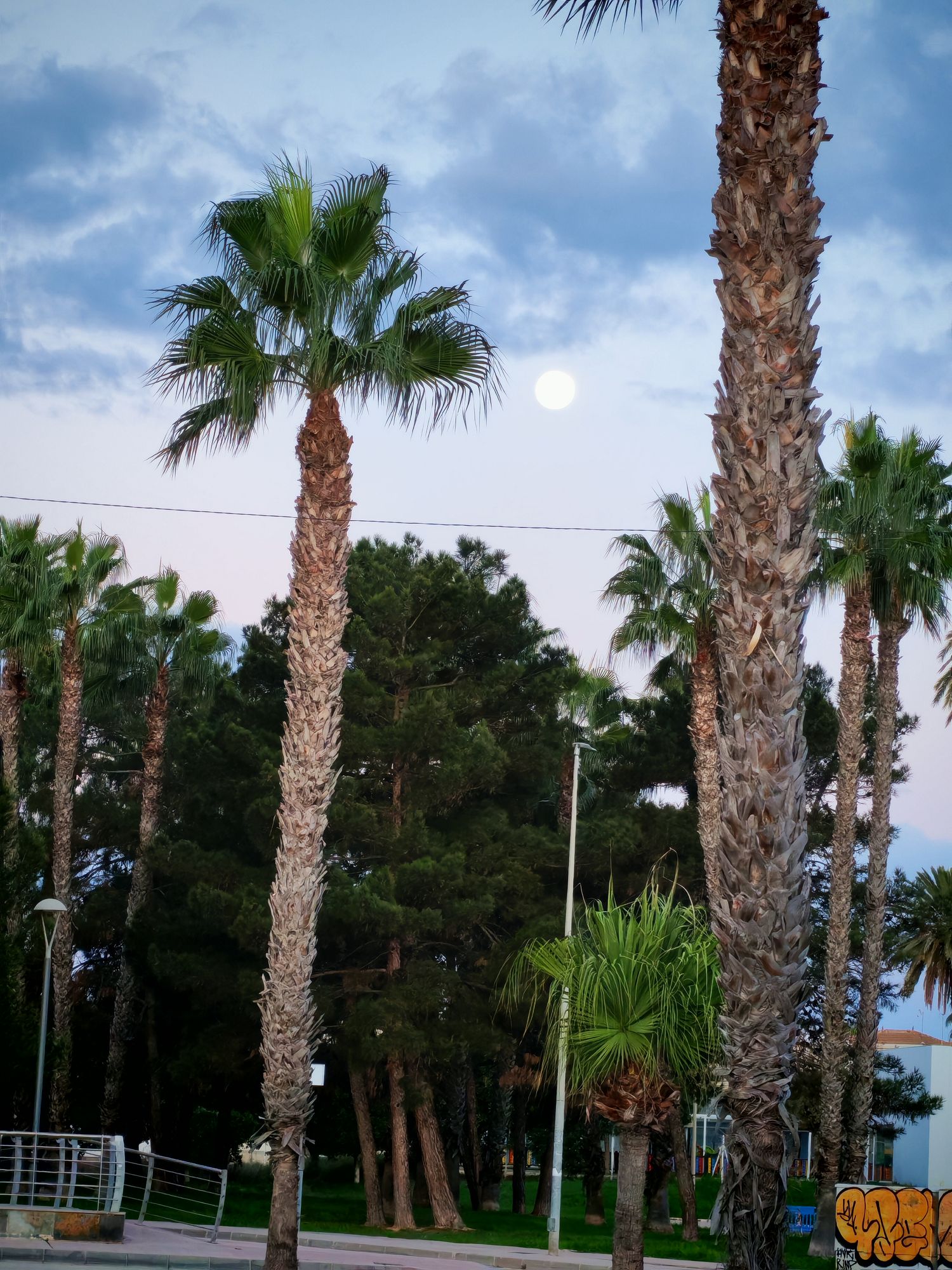 Use the uploaded imagen as a primar y referencia and create a handmade thread arte piece a diorama made of yarn and felt. Marco photography,...