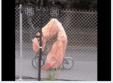 nutted_in_me_instead