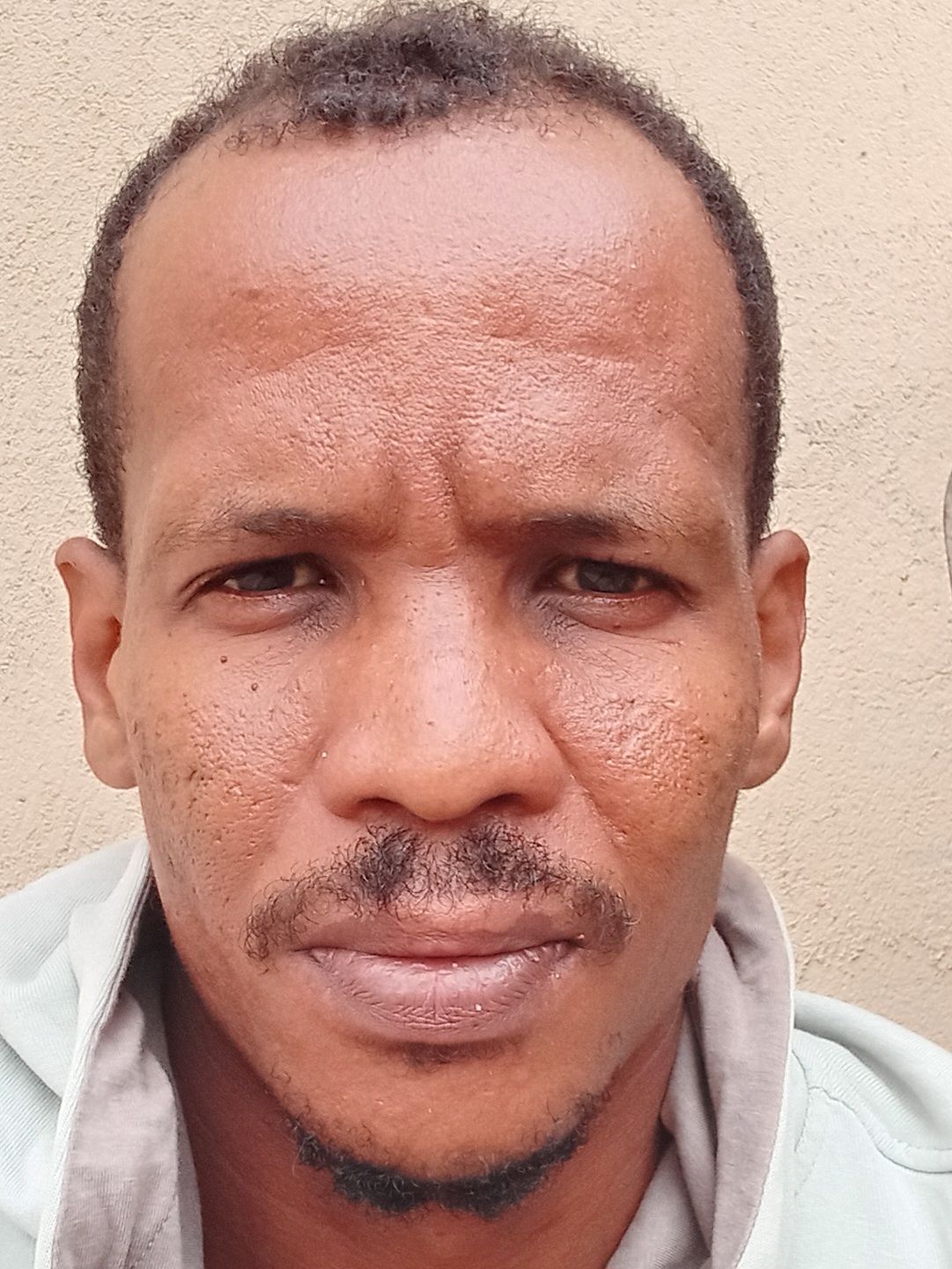 Create Scandinavian phenotype version of the person in the image with brunette hair