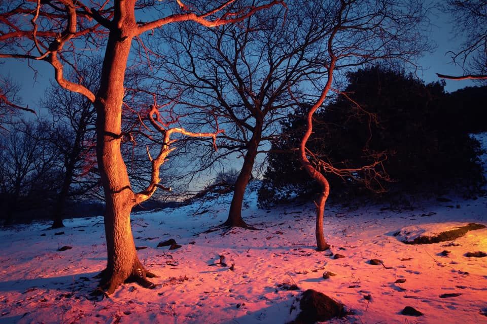 Desintegration Mirrors